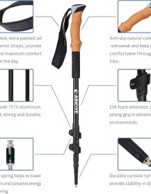 71MPvYM-0QL._AC_SX679_