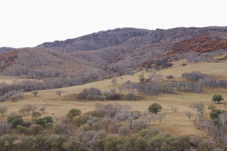 Unconventional Ways to Explore the Great Outdoors