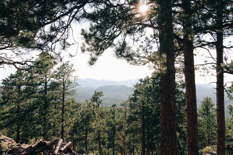 Embracing the Wild: A Journey into the Heart of Outdoor Travel